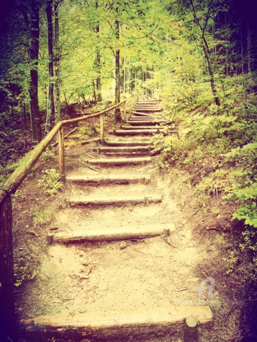Photography titled "The Path" by Eugen Serbanescu, Original Artwork, Digital Photography