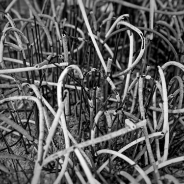 Photographie intitulée "Ferveur" par Yann Le Ligeour, Œuvre d'art originale, Photographie non manipulée Monté sur Aluminium