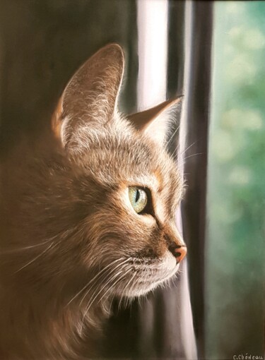 绘画 标题为“Chat à la fenêtre” 由Cathy Cheneau, 原创艺术品, 粉彩