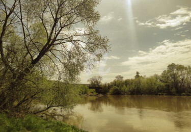 Fotografia intitolato "The golden river" da Diana Editoiu, Opera d'arte originale, Fotografia digitale