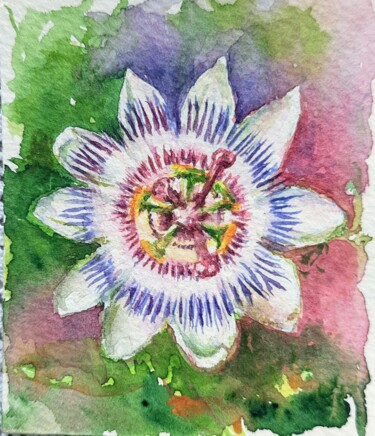 passion flower 제목이 "passion flower"인 미술작품 Fineartderya로, 원작, 수채화