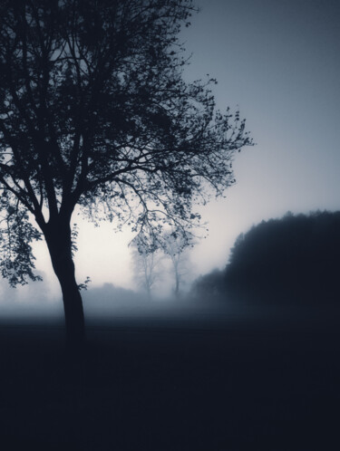 Fotografia intitolato "last mist" da Jerzy Jaworski, Opera d'arte originale, Fotografia digitale