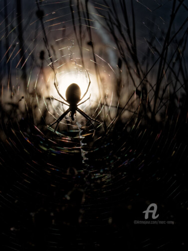Photographie intitulée "Bien le bonsoir de…" par Marc Rémy, Œuvre d'art originale, Photographie numérique