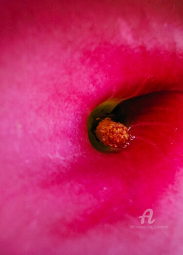 Photographie intitulée "FloraisoN-V" par Jourcarmin, Œuvre d'art originale, Photographie manipulée