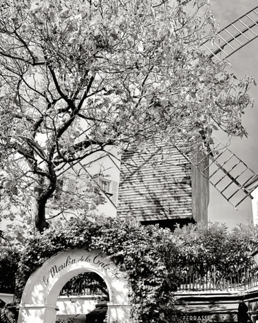 Pintura intitulada "LE MOULIN DE LA GAL…" por Valerie A., Obras de arte originais, Fotografia digital