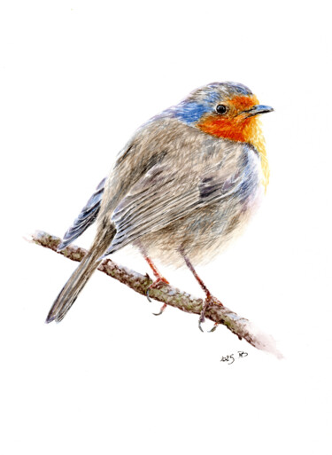 「Rougegorge familier」というタイトルの絵画 Muriel Barratによって, オリジナルのアートワーク, 水彩画