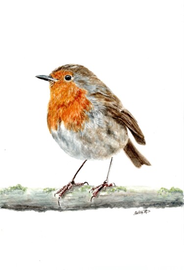 Painting titled "Rougegorge familier2" by Muriel Barrat, Original Artwork, Watercolor