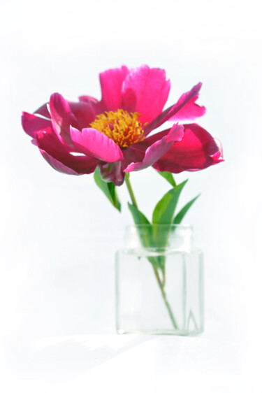 Fotografia intitolato "Flowerissimo_11689" da Michael Vdovin, Opera d'arte originale, Fotografia digitale
