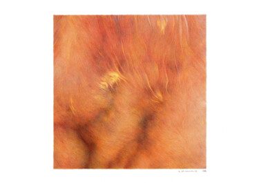 图画 标题为“dessins 25x25 #10” 由Marie-Pascale Corcuff, 原创艺术品, 铅笔
