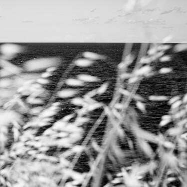 Fotografia intitolato "Sfumature" da Alessandro Carbonara, Opera d'arte originale, Fotografia digitale