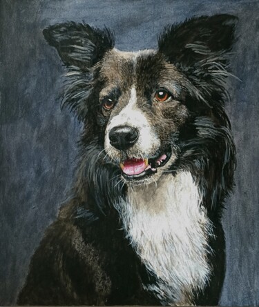 Pittura intitolato "My Border Collie" da Leo Budhi, Opera d'arte originale, Acrilico