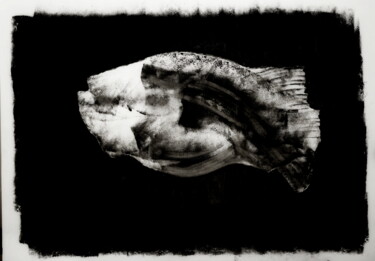 绘画 标题为“Pesce” 由Daniele Masini, 原创艺术品, 油