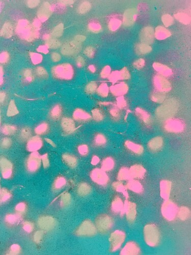 "Floraison des cerisiers" (Cherry Blossom Bloom) 제목이 ""Floraison des ceri…"인 미술작품 Ilsy Khaff로, 원작, 페인트 스프레이