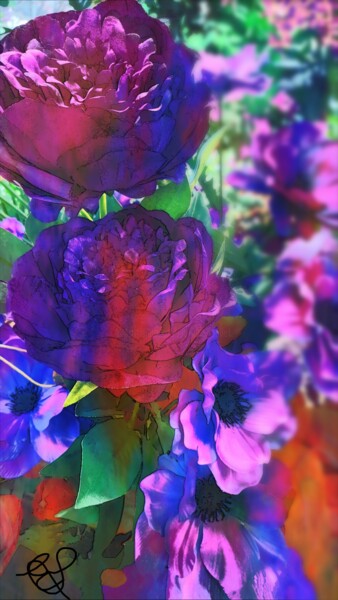 摄影 标题为“Flowers of all colo…” 由Emma Laflute, 原创艺术品, 操纵摄影