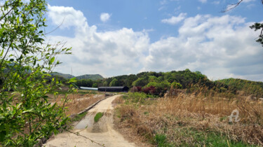 Tranquil Countyside Pathway Under a Spring Sky Fotografia intitolato "Tranquil Countyside…" da Yeon-Gyeong Seo (Seo), Opera d'arte originale, Fotografia digitale