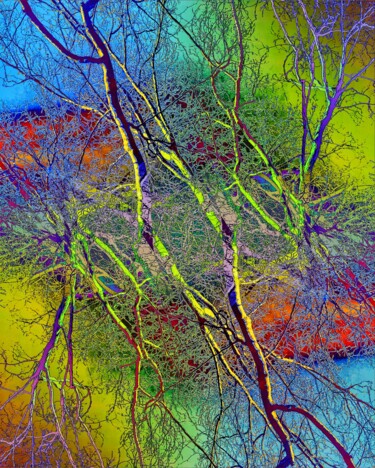 Photography titled "Pop Artbre vibration" by Alexandra Daoust, Original Artwork, Digital Photography Mounted on Aluminium