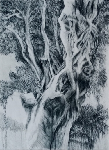 Tekening getiteld "tricky tree" door Liudmila Rabinovich, Origineel Kunstwerk, Houtskool