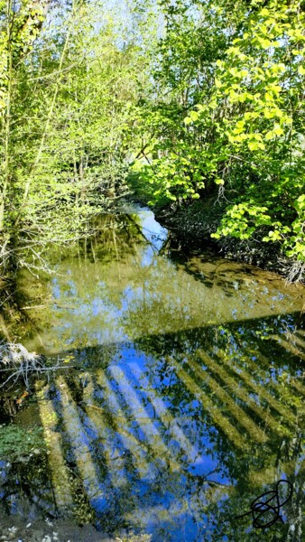 Photography titled "The shadow of the s…" by Emma Laflute, Original Artwork, Non Manipulated Photography