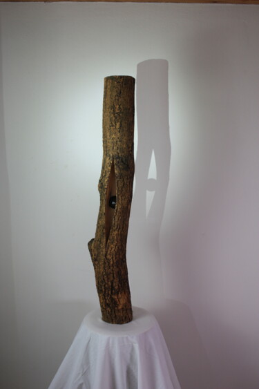 "Locked In II" başlıklı Heykel Jakob Spohn tarafından, Orijinal sanat, Ahşap