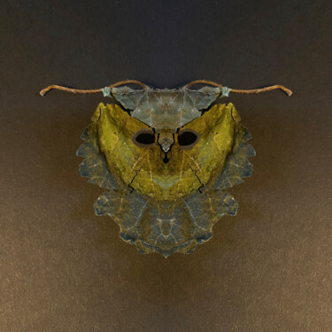 Digitale Kunst getiteld "Ranis" door Bettina Eberhaerd, Origineel Kunstwerk, Foto Montage