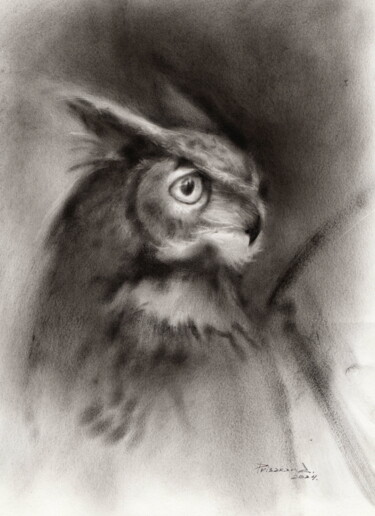 Ζωγραφική με τίτλο "Owl in black and wh…" από Alla Prisakar, Αυθεντικά έργα τέχνης, Γραφίτης Τοποθετήθηκε στο Άλλος άκαμπτος…
