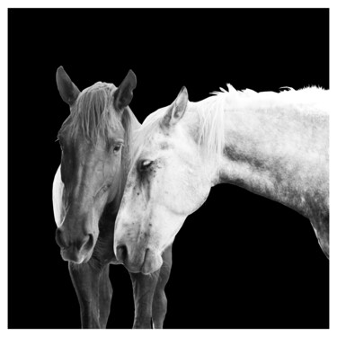 Fotografia intitolato "Horses" da Anna Gabo, Opera d'arte originale, Fotografia digitale