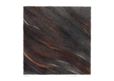 图画 标题为“dessins 25x25 #42 (…” 由Marie-Pascale Corcuff, 原创艺术品, 铅笔