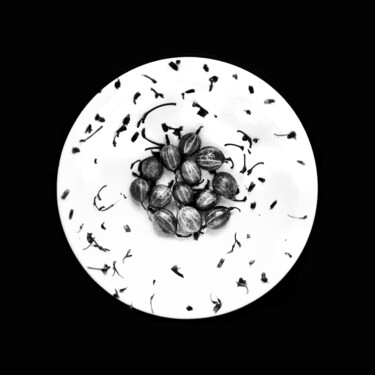 Fotografia intitolato "Gooseberry" da Tamara Morozova, Opera d'arte originale, Fotografia digitale