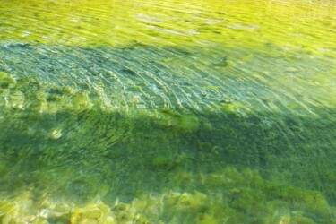 Fotografia intitolato "Champ de lac" da Marie Marlène Mahalatchimy, Opera d'arte originale, Fotografia non manipolata