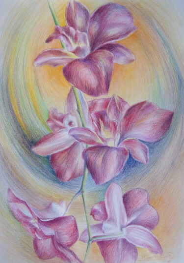 Drawing titled "Orchideen" by Olga Milova, Original Artwork, Conté Mounted on Cardboard