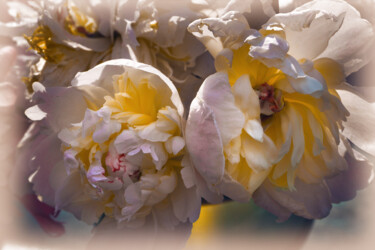 "Flowerissimo_11570" başlıklı Fotoğraf Michael Vdovin tarafından, Orijinal sanat, Dijital Fotoğrafçılık