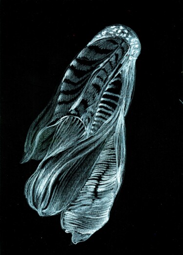 Desenho intitulada "Fiore notturno" por Daniele Masini, Obras de arte originais, Pastel
