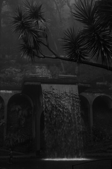 The waterfall, Funchal, 2025 Photographie intitulée "The waterfall, Func…" par Cyrille Mulot, Œuvre d'art originale, Photographie non manipulée