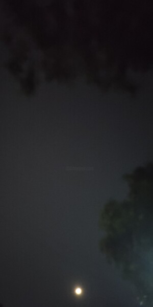 "Moonlit night surro…" başlıklı Fotoğraf Avik Chakravorty tarafından, Orijinal sanat, Dijital Fotoğrafçılık