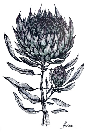 图画 标题为“PROTEA FLOWER” 由Maria Tuzhilkina, 原创艺术品, 标记