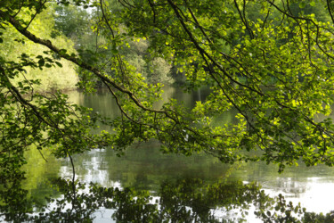 Vert d'eau