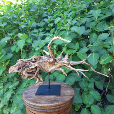 Le Dragon de Phénicie Sculptuur getiteld "Le Dragon de Phénic…" door Sabine Grimm, Origineel Kunstwerk, Hout