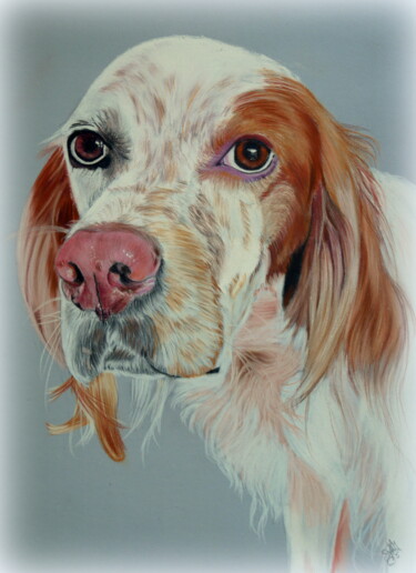 Chien au pastel "Chien au pastel" başlıklı Resim Samos17 Portraitiste tarafından, Orijinal sanat, Pastel