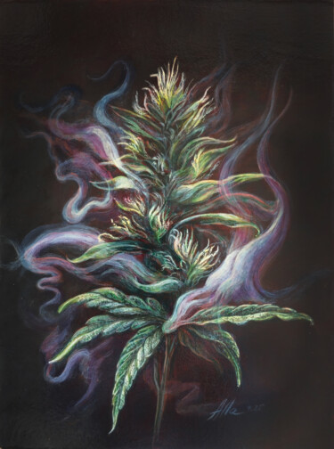 Scent of Indica – Botanical Cannabis Art in Old Masters Tech 绘画 标题为“Scent of Indica – B…” 由Alla Ostrovsky, 原创艺术品, 油