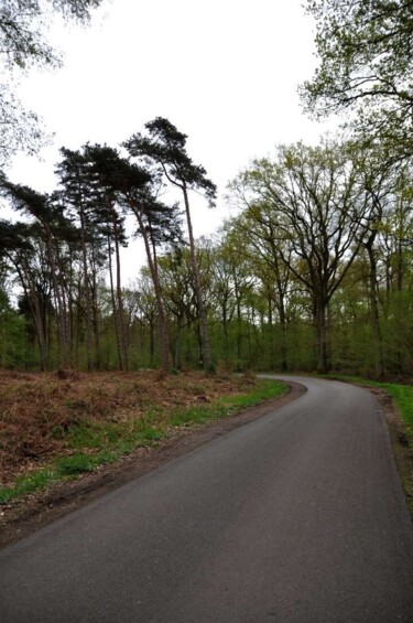 제목이 "Allée des Sous-Bois"인 사진 Yohan Veys로, 원작, 조작되지 않은 사진