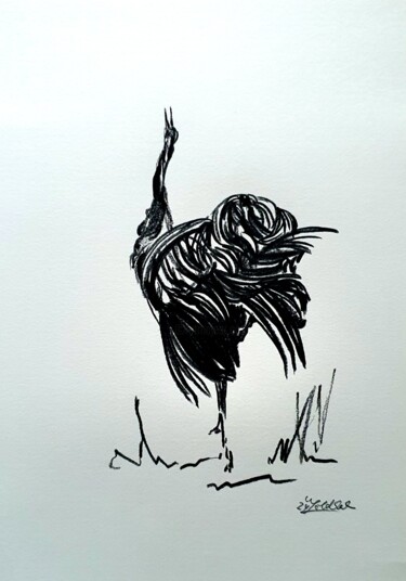 Zeichnungen mit dem Titel "Kranich" von Anne Goldhahn, Original-Kunstwerk, Bleistift