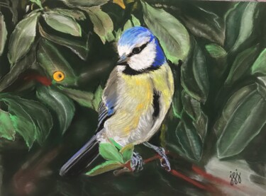Schilderij getiteld "la mésange bleue" door Jean-Francois Jehl, Origineel Kunstwerk, Pastel