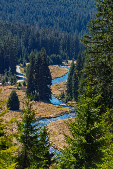 Rivière dans le parc national de Sumava en République tchèqu Фотография под названием "Rivière dans le par…" - Florent Baudy, Подлинное произведение искусства, Цифровая фотография