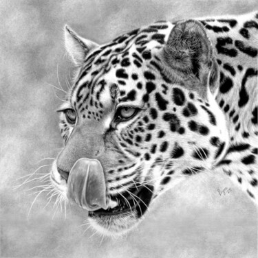 Dessin intitulée "Jaguar" par Teresa Payne Art, Œuvre d'art originale, Fusain