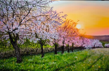 Almond trees in sunrise