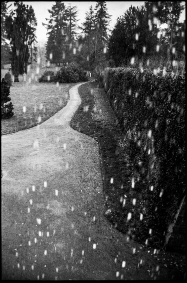 Fotografia intitulada "Écho de Pluie" por Philippe Gillotte, Obras de arte originais, Fotografia de filme