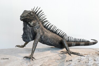 "l ' iguane" başlıklı Heykel Emmanuel Guillon tarafından, Orijinal sanat, Metaller