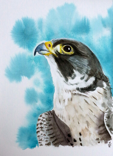 Painting titled "Faucon pèlerin" by Emilie Denis, Original Artwork, Watercolor