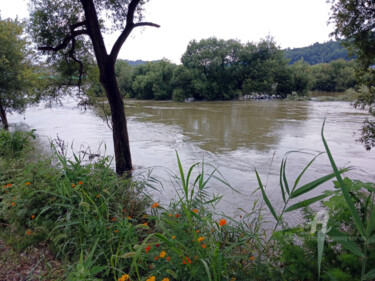 Flooded River Landscape with Lush Green Banks and Orange Wil 제목이 "Flooded River Lands…"인 사진 Yeon-Gyeong Seo (Seo)로, 원작, 디지털