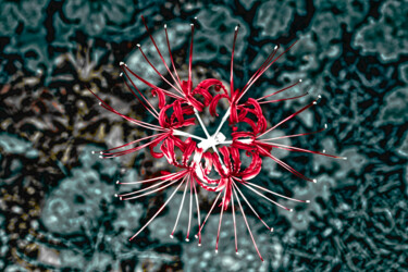 spider lilies Photographie intitulée "spider lilies" par Masaharu Takahashi, Œuvre d'art originale, Photographie numérique